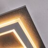 Lidor Deckenleuchte LED Schwarz, 1-flammig