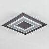 Lidor Deckenleuchte LED Schwarz, 1-flammig