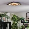 Lidor Deckenleuchte LED Schwarz, 1-flammig