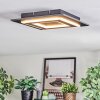 Lidor Deckenleuchte LED Schwarz, 1-flammig