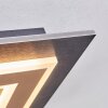 Lidor Deckenleuchte LED Schwarz, 1-flammig