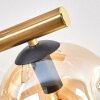 Ripoll Deckenleuchte Glas 15 cm Gold, Schwarz, 10-flammig