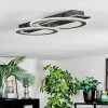 Lidor Deckenleuchte LED Schwarz, 1-flammig