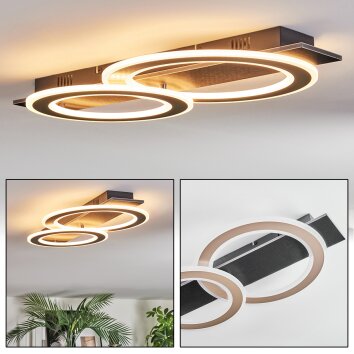 Lidor Deckenleuchte LED Schwarz, 1-flammig