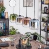 Lauden Hängeleuchte Glas 20 cm Blau, Grün, Klar, Kupferfarben, Rauchfarben, 4-flammig