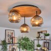 Ripoll Deckenleuchte Glas 15 cm Naturfarben, Schwarz, 3-flammig