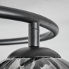 Koyoto Deckenleuchte Glas 15 cm Klar, Rauchfarben, 3-flammig
