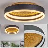 Guine Deckenleuchte LED Gold, Schwarz, 1-flammig