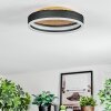 Guine Deckenleuchte LED Gold, Schwarz, 1-flammig