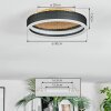 Guine Deckenleuchte LED Gold, Schwarz, 1-flammig