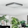 Salmi Deckenpanel LED Grau, Silber, 1-flammig