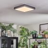 Salmi Deckenpanel LED Grau, Silber, 1-flammig