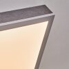 Salmi Deckenpanel LED Grau, Silber, 1-flammig