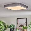Salmi Deckenpanel LED Grau, Silber, 1-flammig