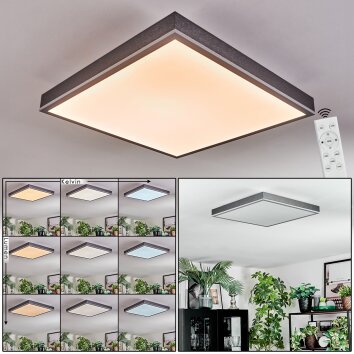 Salmi Deckenpanel LED Grau, Silber, 1-flammig, Fernbedienung