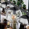 Ripoll Pendelleuchte Glas 15 cm Bernsteinfarben, Klar, Rauchfarben, 5-flammig