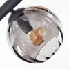 Koyoto Deckenleuchte Glas 15 cm Bernsteinfarben, Klar, Rauchfarben, 10-flammig