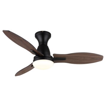 Globo Gale Deckenventilator LED Holzoptik, Naturfarben, Schwarz, 1-flammig, Fernbedienung