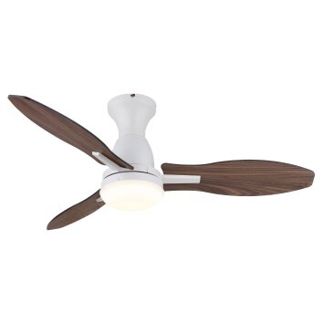 Globo Gale Deckenventilator LED Holzoptik, Naturfarben, Weiß, 1-flammig, Fernbedienung