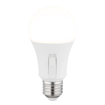 E27 LED 9 Watt 830 Lumen 3000-6500 Kelvin