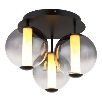 Globo Lacy Deckenleuchte LED Schwarz, 1-flammig