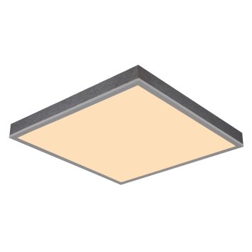 Globo Doro Deckenleuchte LED Grau, Silber, 1-flammig