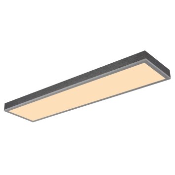 Globo Doro Deckenleuchte LED Grau, Silber, 1-flammig