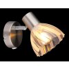 Globo Zachery Wandleuchte Nickel-Matt, 1-flammig
