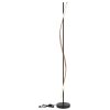 Globo Watkins Stehleuchte LED Schwarz, 1-flammig