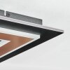 Lidor Deckenleuchte LED Schwarz, 1-flammig