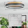 Guine Deckenleuchte LED Gold, Schwarz, 1-flammig