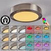 Omaro Deckenpanel LED Nickel-Matt, 1-flammig, Farbwechsler