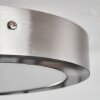 Omaro Deckenpanel LED Nickel-Matt, 1-flammig, Farbwechsler