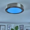 Omaro Deckenpanel LED Nickel-Matt, 1-flammig, Farbwechsler
