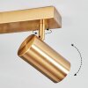 Javel Deckenleuchte Gold, 2-flammig