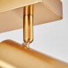 Javel Deckenleuchte Gold, 2-flammig
