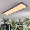 Salmi Deckenpanel LED Grau, Silber, 1-flammig, Fernbedienung