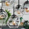 Ripoll Deckenleuchte Glas 15 cm Klar, Rauchfarben, 5-flammig