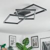 Brilo Deckenleuchte LED Schwarz, 1-flammig