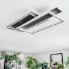 Olian Deckenleuchte LED Schwarz, Silber, 1-flammig