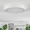 Omaro Deckenpanel LED Weiß, 1-flammig, Farbwechsler