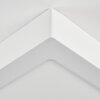 Omaro Deckenpanel LED Weiß, 1-flammig