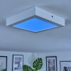 Omaro Deckenpanel LED Weiß, 1-flammig