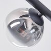 Chehalis Deckenleuchte Glas 10 cm, 12 cm Klar, Rauchfarben, 5-flammig