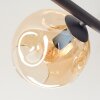 Ripoll Deckenleuchte Glas 15 cm Bernsteinfarben, Rauchfarben, 5-flammig
