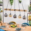 Ripoll Pendelleuchte Glas 15 cm Naturfarben, Schwarz, 5-flammig