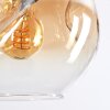 Ripoll Hängeleuchte Glas 15 cm, 20 cm Bernsteinfarben, Klar, Rauchfarben, 6-flammig