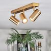 Javel Deckenleuchte Gold, 3-flammig
