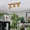 Javel Deckenleuchte Gold, 3-flammig