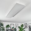 Orain Deckenpanel LED Weiß, 1-flammig